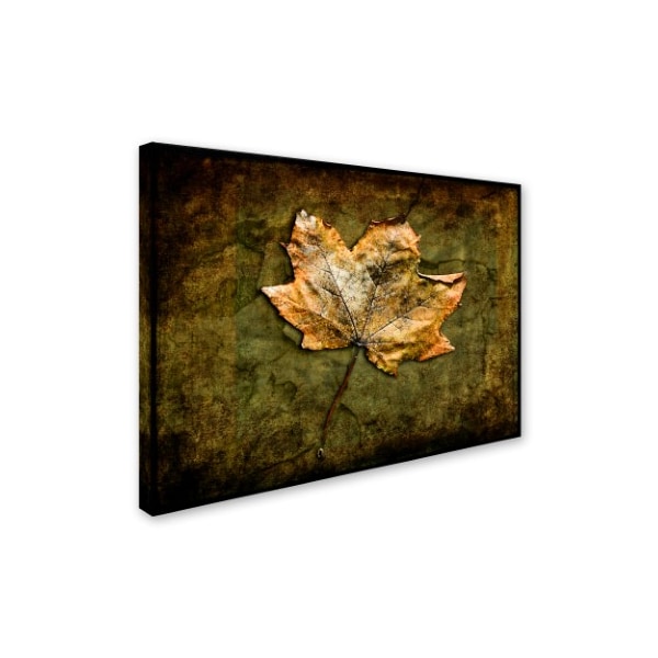 LightBoxJournal 'Metallic Leaf 1' Canvas Art,24x32